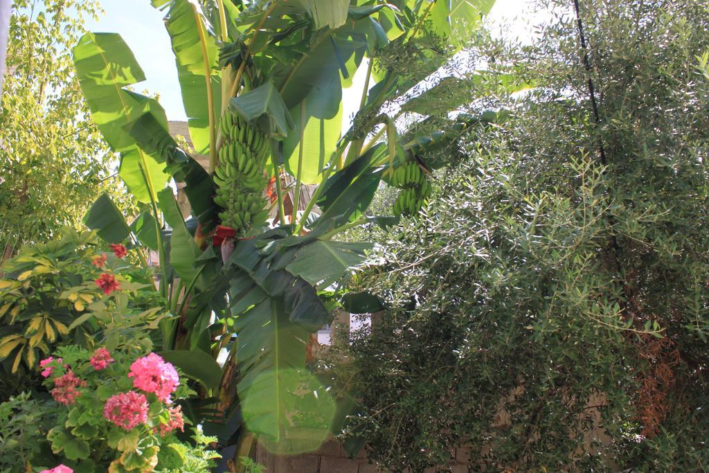 Villa Mucho Sarande Exterior photo